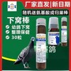 翼能鸽药【下窝棒送归巢棒】毛滴虫念珠菌霉菌呼吸道肠道五合一赛鸽信 商品缩略图0