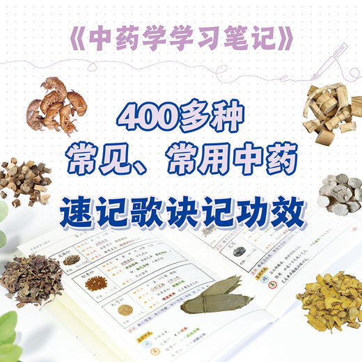 中药学学习笔记 商品图1