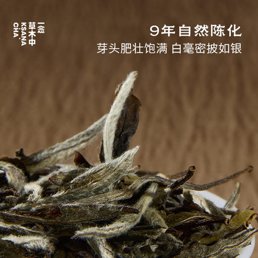 【产品上新】雪涧飞泉 | 私房清饮系列 | 45g/盒丨白茶类 商品图1