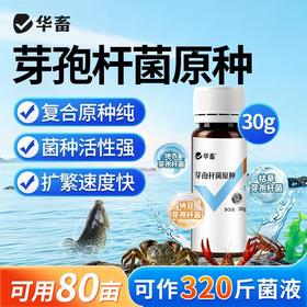 华畜水产养殖鱼虾芽孢杆菌原种调水净水增氧稳水平衡降解亚硝酸盐
