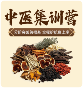 2027中医考研线上集训营