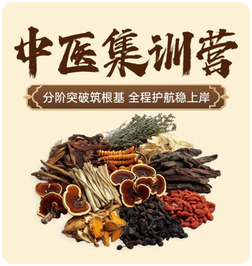 2027中医考研集训营 商品图0