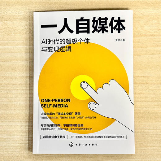 一人自媒体：AI时代的超级个体与变现逻辑 商品图1