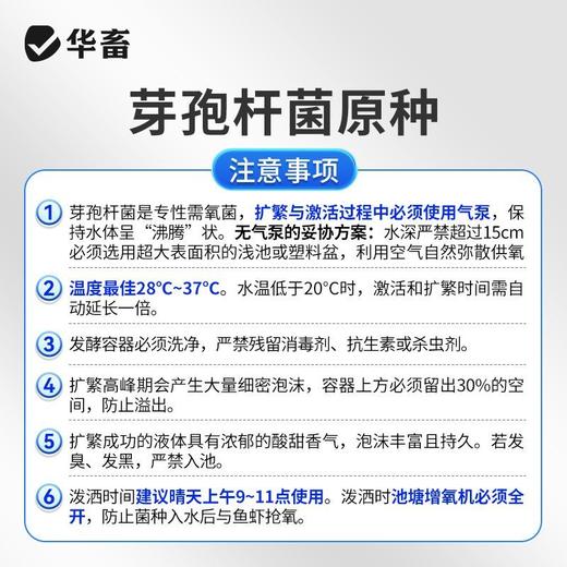 华畜水产养殖鱼虾芽孢杆菌原种调水净水增氧稳水平衡降解亚硝酸盐 商品图7