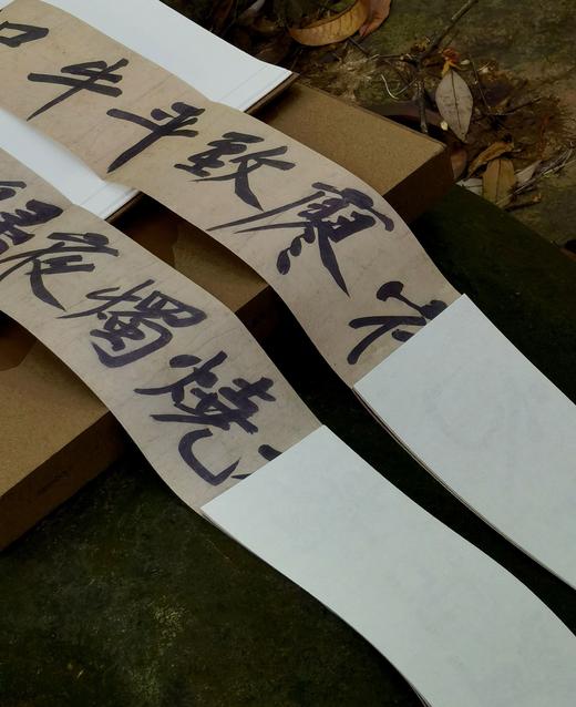 【独家重磅推荐】《山谷雅集——黄庭坚诞辰980周年特展》，正8开，一函一册，布面精装，故宫博物院、江西文旅厅主编，江西省博物馆编著，江西人民出版社2026年一版一印，定价398，售价298元 商品图12