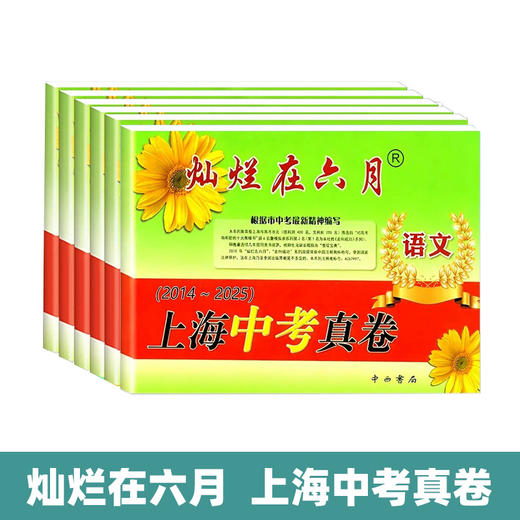 灿烂在六月.上海中考真卷 商品图0