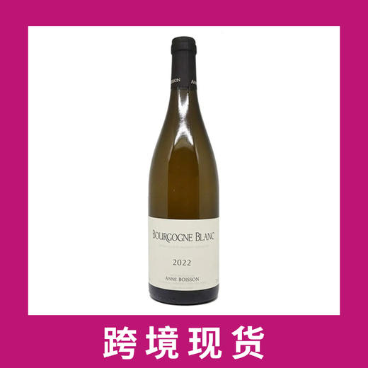 安娜博森勃艮第霞多丽干白葡萄酒2022 Boisson-Vadot - Anne Boisson Bourgogne Blanc, Burgundy, France 商品图0