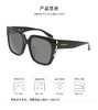 7886895612296 Salvatore Ferragamo 【商场同款】菲拉格慕经典潮流大框墨镜休闲女款太阳镜中性百搭 商品缩略图3