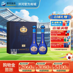 洋河 梦之蓝M6+礼盒 52度550mL 双支装
