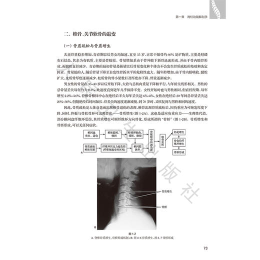 中国整脊学 第3三版 韦以宗 主编 系统发掘整理了中国传统医学有关脊柱疾病的理论经验 中医骨伤科 9787117394666 人民卫生出版社 商品图4