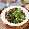 今明后248ml焙煎调味汁 商品缩略图3