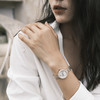 723763298810 EMPORIO ARMANI 【专柜同款】阿玛尼满天星ROSA轻奢女石英腕表AR11415【无电】 商品缩略图4