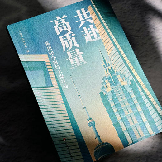 共赴高质量 集团化办园的上海行动 上海市托幼协会 商品图4
