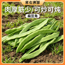 密云现摘扁豆角400g   口感鲜嫩   适合炒丝 农家宽扁豆角