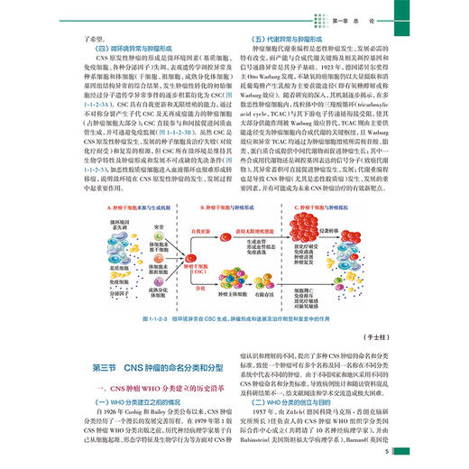 临床病理诊断与鉴别诊断--神经系统疾病 卢德宏 于士柱 主编 每一种疾病都配有相应的数字资源 9787117390972 人民卫生出版社 商品图4