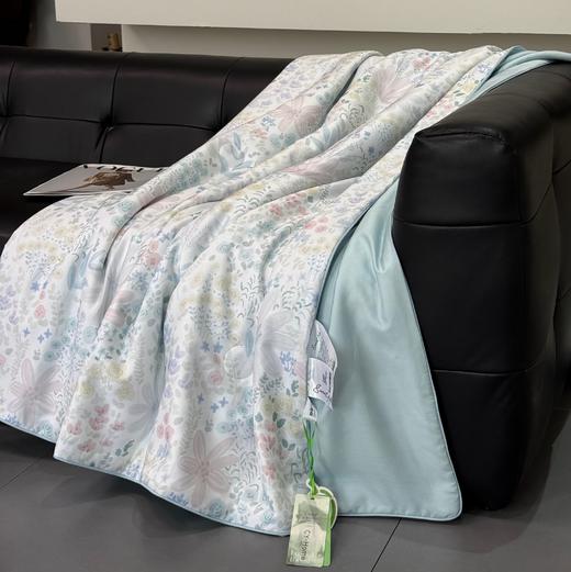 【品牌直发】加倍生活 天丝莱赛尔印花天丝凉感丝滑单夏被 14色可选 商品图1
