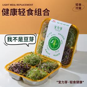 宝力芽 Boleeyah 活水芽苗  活水循环系统历经120小时精心培育，0农残、0防腐、0色素、0蔗糖。产品由中国人保PICC承保