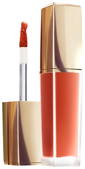 887167747906 雅诗兰黛EsteeLauder 雅诗兰黛绝色云裳唇釉 #377  7.5ML/.25FLOZ