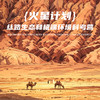 立减1000❗️7.6-7.11【跟着中科院双博士去新疆】火星计划·丝路生态和极端环境6天5晚科考营：双语教学、极限地貌全打卡:百里风区、绿洲、火焰山、沙漠、雅丹、草原、古生物遗址，一次看够新疆精华 商品缩略图0
