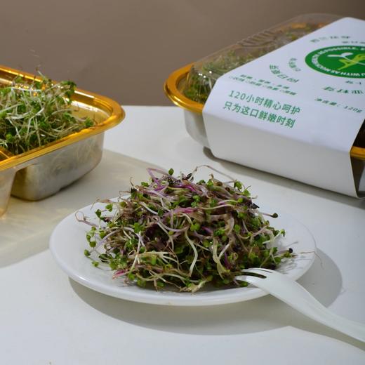 宝力芽 Boleeyah 活水芽苗  活水循环系统历经120小时精心培育，0农残、0防腐、0色素、0蔗糖。产品由中国人保PICC承保 商品图3