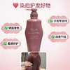 日本资生堂芯护理道染后护色洗发水/护发素-1L 商品缩略图1