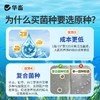 华畜水产养殖鱼虾芽孢杆菌原种调水净水增氧稳水平衡降解亚硝酸盐 商品缩略图3