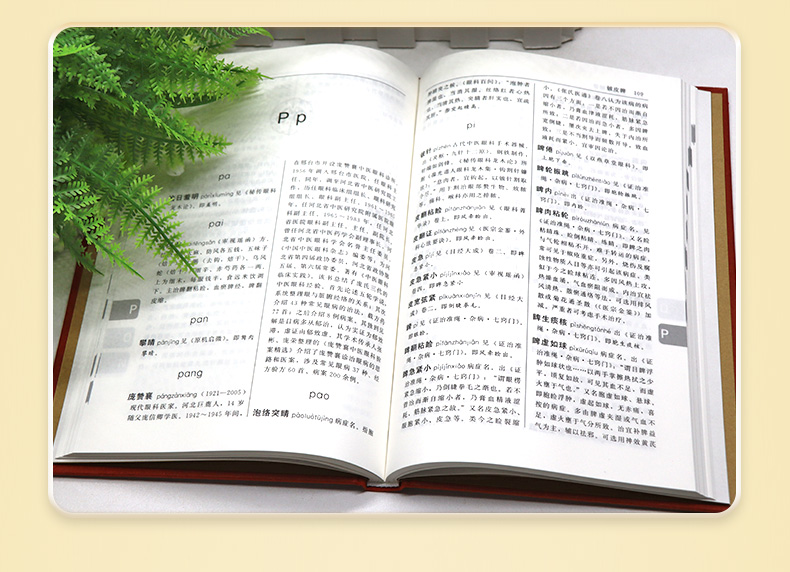中医棕黄-1_05.jpg