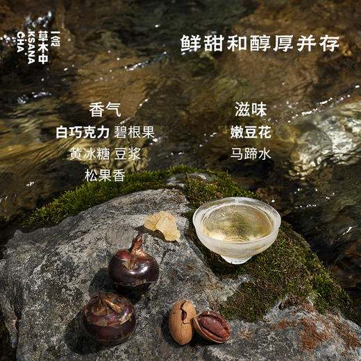 【产品上新】雪涧飞泉 | 私房清饮系列 | 45g/盒丨白茶类 商品图3