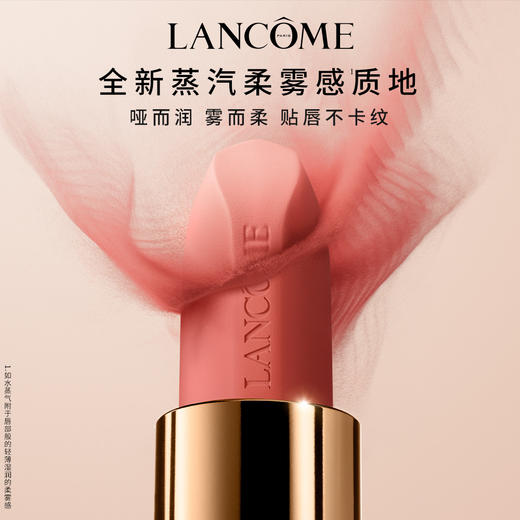 3614274159295 兰蔻LANCOME 限定款菁纯柔雾裸唇膏 粉金管小蛮腰口红 #370 暮色玫 商品图2