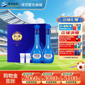 洋河 梦之蓝M6礼盒 52度500mL 双支装