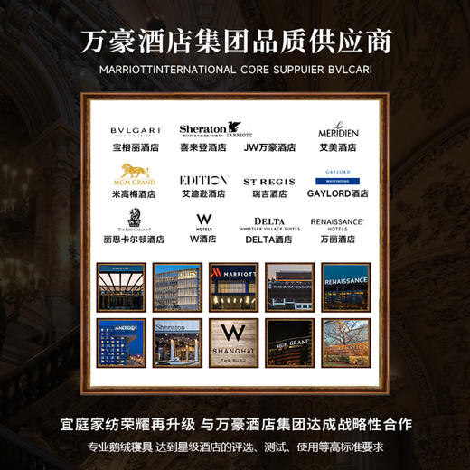 ESTEEM/宜庭 家用床上用品拾穗者/莫里斯荣耀全棉四件套 商品图11