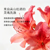 枕草子杜鹃玫瑰沐浴磨砂精油膏 水润+油养丝滑与弹嫩同时进行 商品缩略图4