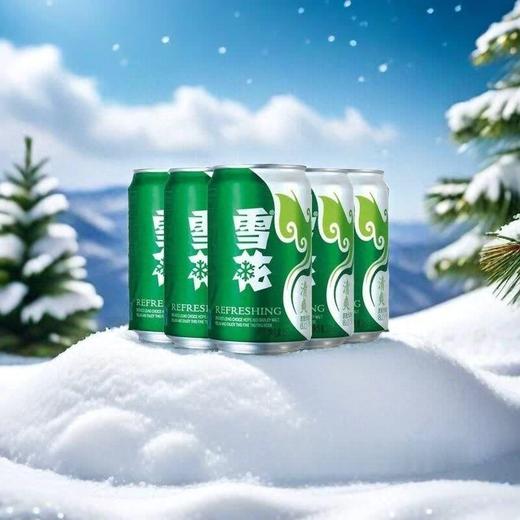 雪花330ml清爽啤酒六连包 商品图1