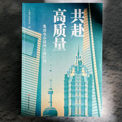 共赴高质量 集团化办园的上海行动 上海市托幼协会 商品图1