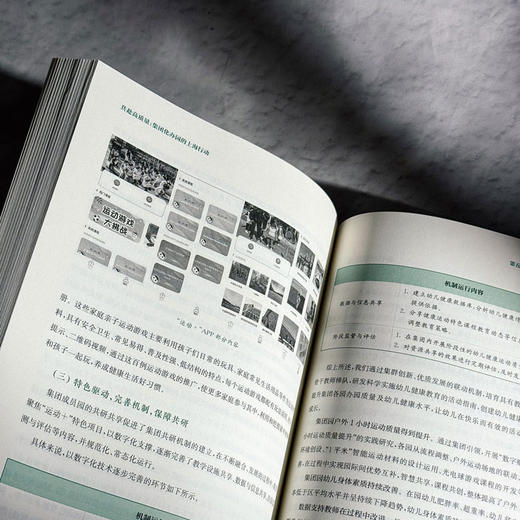 共赴高质量 集团化办园的上海行动 上海市托幼协会 商品图12