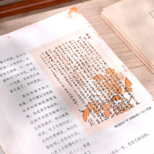 “至美情书”系列礼盒装 《纸短情长》+《见信如面》 | 鲁迅、雨果、萧红、马克吐温、朱生豪等名人大家写给爱人的书信篇目 商品图11