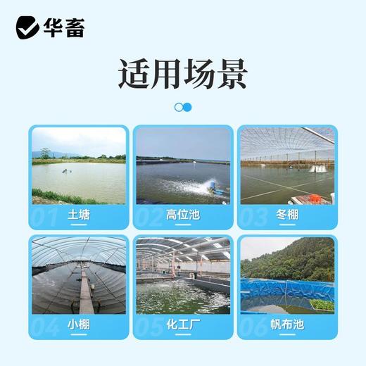 华畜鱼虾蟹蛙水产复合发酵碳源降低氨氮平衡藻相补充碳源增加食欲 商品图4