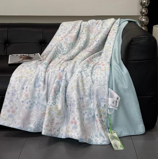 【品牌直发】加倍生活 天丝莱赛尔印花天丝凉感丝滑单夏被 14色可选 商品图2