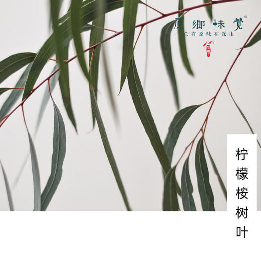 柠檬桉醇芳香防护喷雾/驱蚊液（成都仓库-顺丰快递）|100ml/瓶，来自广东中山，生产者：旗溪【合作生产，公平贸易】 商品图5