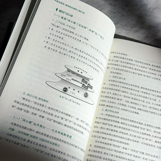 共赴高质量 集团化办园的上海行动 上海市托幼协会 商品图10