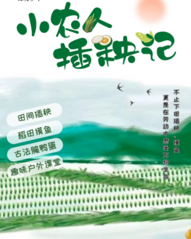 大蓝鲸爱研学|小农人插秧记，田间插秧，稻田摸鱼，古法腌鸭蛋，一大一小趣味户外活动