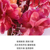3348901708944 迪奥Dior 克丽丝汀迪奥迪奥小姐香精35ml 木质花香调女士持久留香 商品缩略图2
