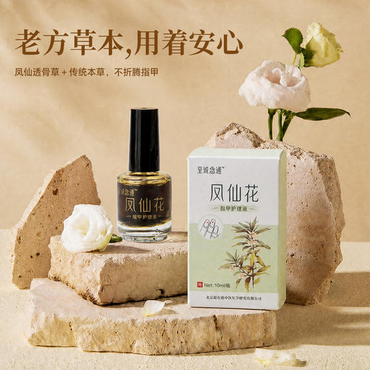 凤仙花指甲护理液 商品图0