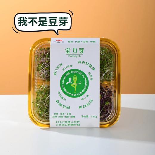 宝力芽 Boleeyah 活水芽苗  活水循环系统历经120小时精心培育，0农残、0防腐、0色素、0蔗糖。产品由中国人保PICC承保 商品图1