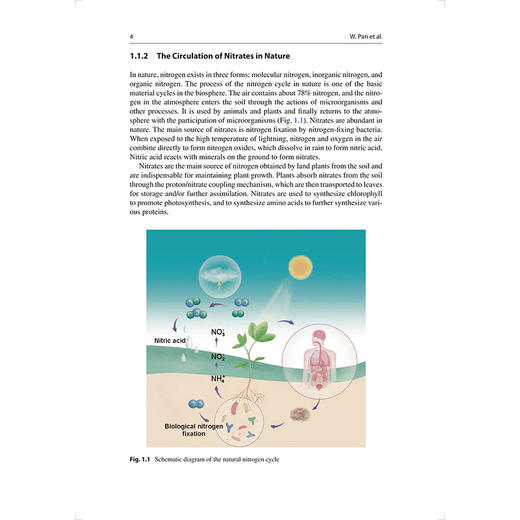 Inorganic Nitrate and Human Body Homeostasis 硝酸盐与机体稳态（英文版）王松灵 主编 口腔科学 9787117393621 人民卫生出版社 商品图4