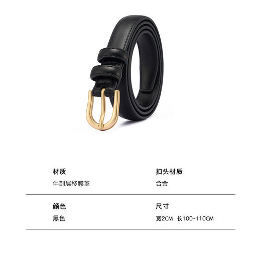 TMX211PD047210 天美意teenmix 【节日礼物】天美意新款复古时尚百搭针扣腰带牛仔裤皮带休闲皮带 商品图4