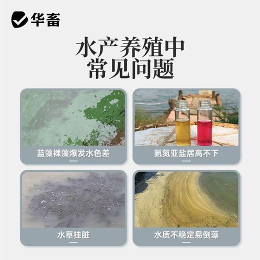 华畜鱼虾蟹蛙水产复合发酵碳源降低氨氮平衡藻相补充碳源增加食欲 商品图1