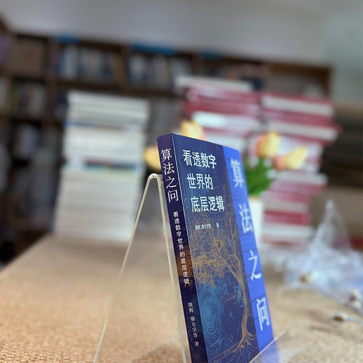 算法之问：看透数字世界的底层逻辑 商品图12