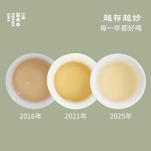 【新茶补货】2026春野绒针·白毫银针 | 私房清饮系列 | 50g原叶 | 白茶类 商品图4