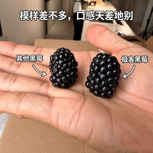 【排单发货】极客黑莓丨花青素含量高，酸甜适中，香气浓郁，汁水丰富，略有籽感，介意慎拍。⭐顺丰空运 商品图8